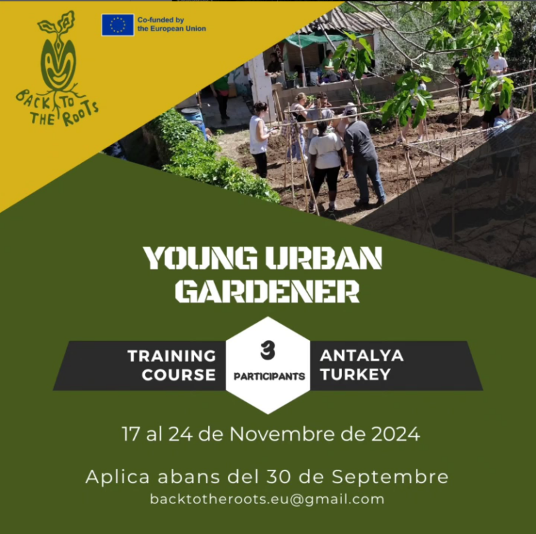 Captura de pantalla 2025-01-09 125834