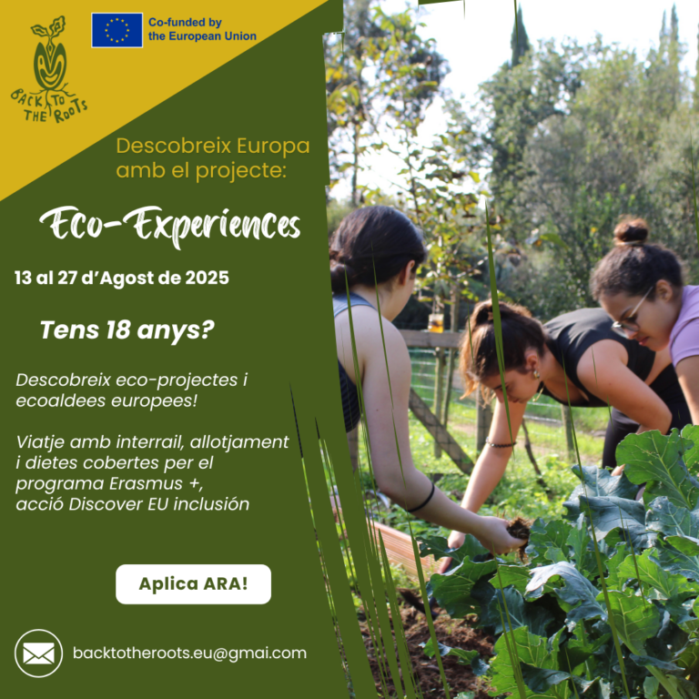 Copia de Modern Digital Marketing Agency Instagram Post (3)